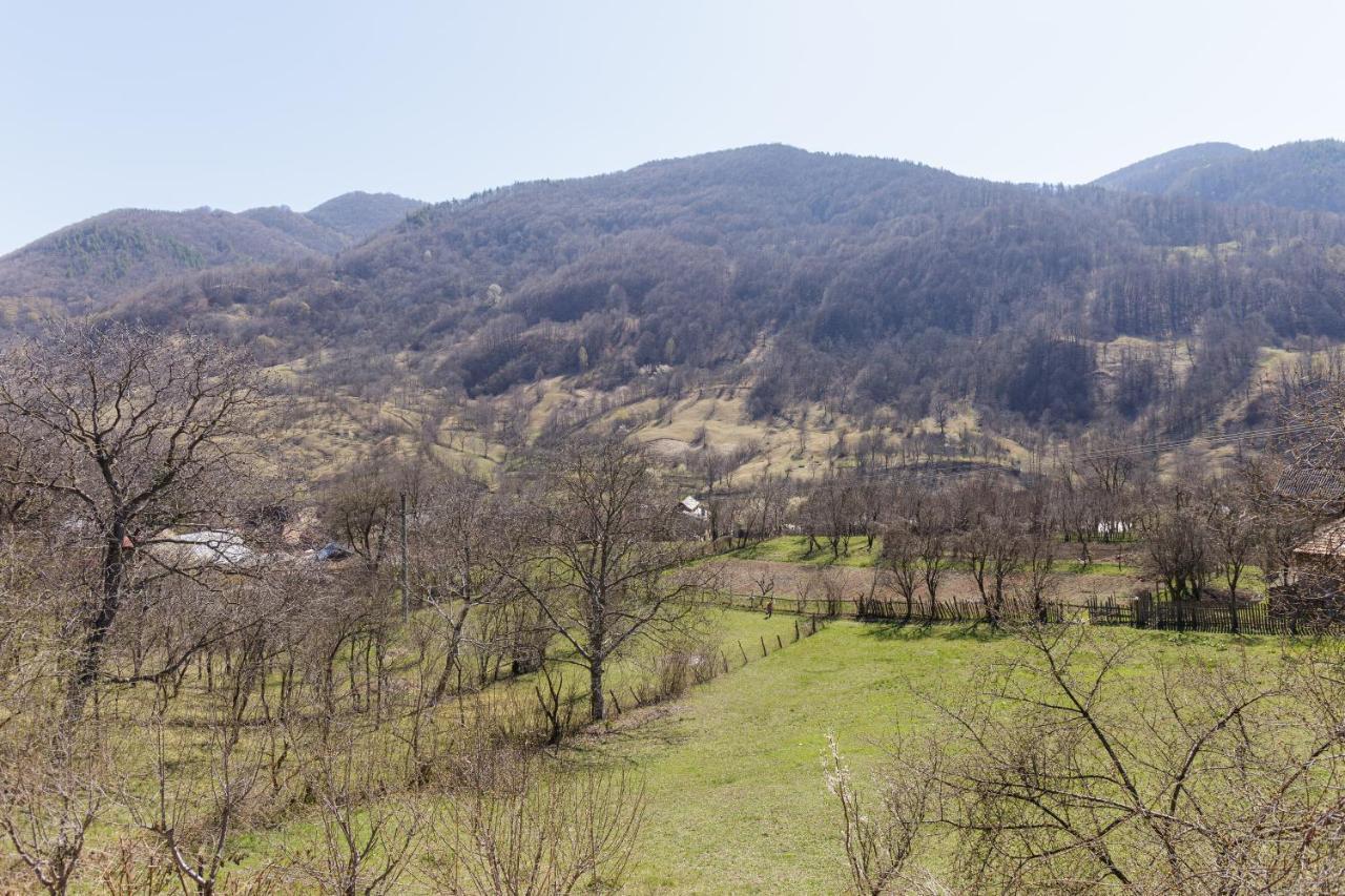 Nook Of Nature Basca Rozilei Buitenkant foto